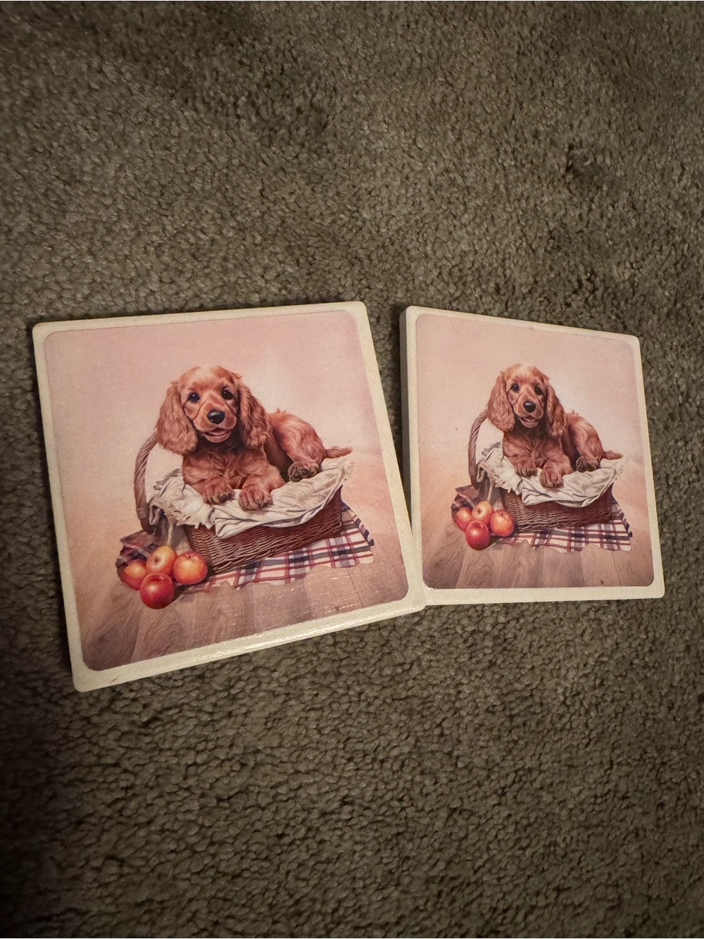 Dog Coaster Set - Brown Puppy in Basket (Set of 2)